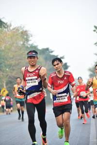 BIB: 42236, 41379
                            <button type="button" onclick="openModal(10135247)" class="btn btn-primary btn-sm float-right btn-popup" data-toggle="modal" data-target=".modal-high-quality">
                        <i class="fas fa-shopping-cart"></i> Add to Cart
                    </button>
                                            <button type="button" onclick="isThisMe(10135247, true)" class="btn btn-success btn-sm float-right btn-popup btn-isme hidden" data-toggle="tooltip" data-placement="bottom" title="นี่คือรูปของคุณใช่ไหม คลิกที่นี่เพื่อเอาเข้าอัลบั้ม">
                        <i class="fas fa-plus"></i> Add to album
                    </button>
                    <button type="button" onclick="isThisMe(10135247, false)" class="btn btn-warning btn-sm float-right btn-popup btn-isnotme hidden">
                        <i class="fas fa-ban"></i> Remove from album
                    </button>